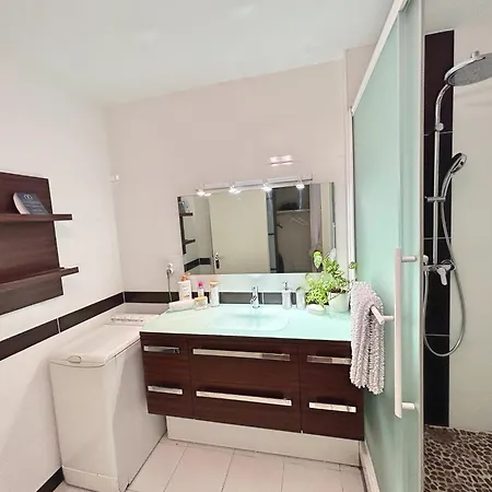 Apartament L'aerien- Parking- Centre - Calme *