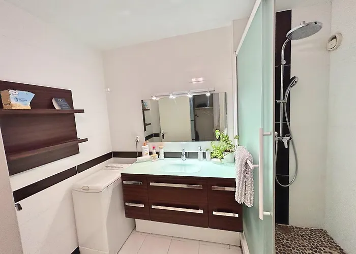 Apartman L'aerien- Parking- Centre - Calme *